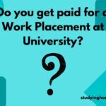 Do you get paid for a Work Placement at University?