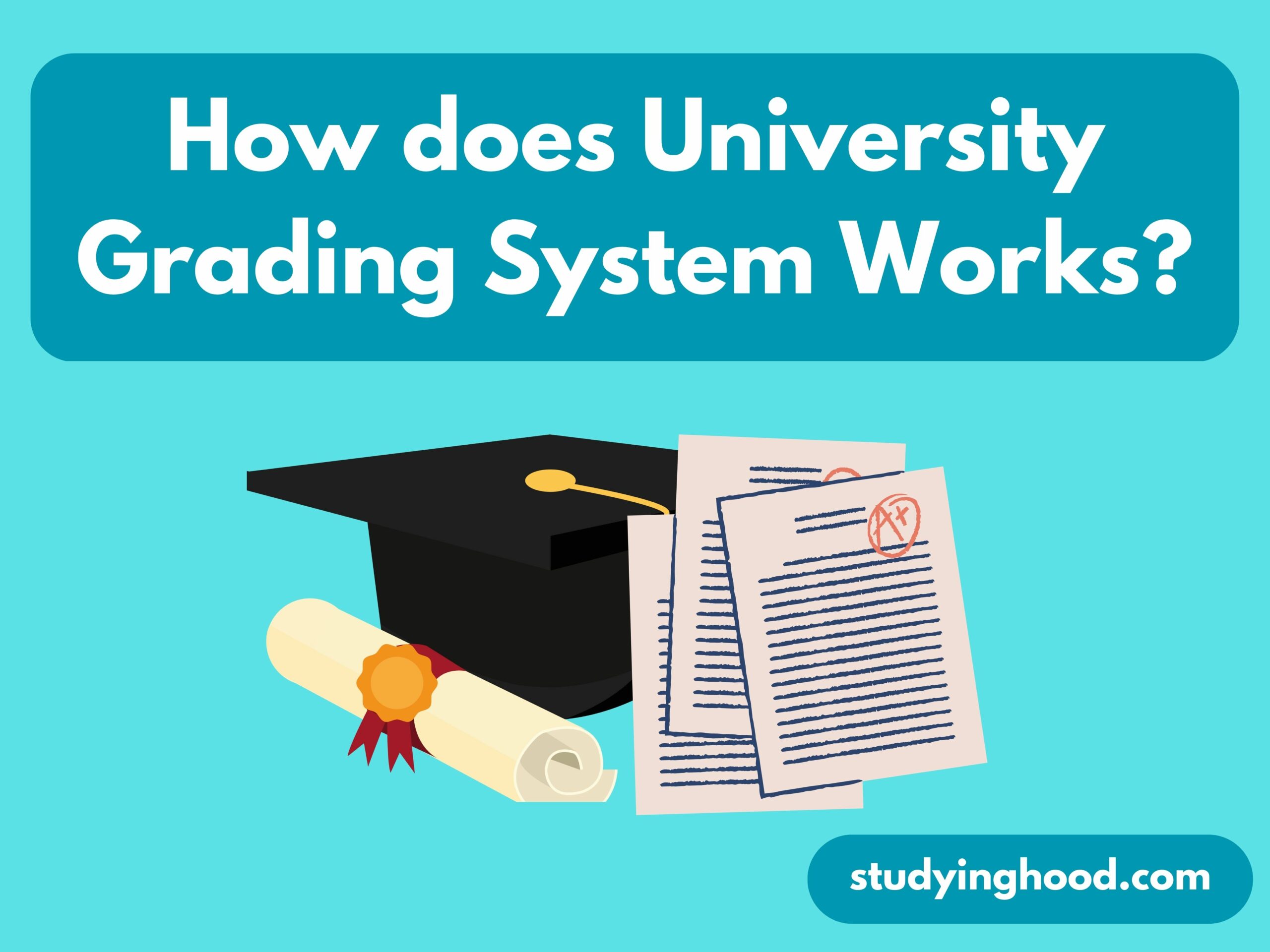 How does University Grading System Works?
