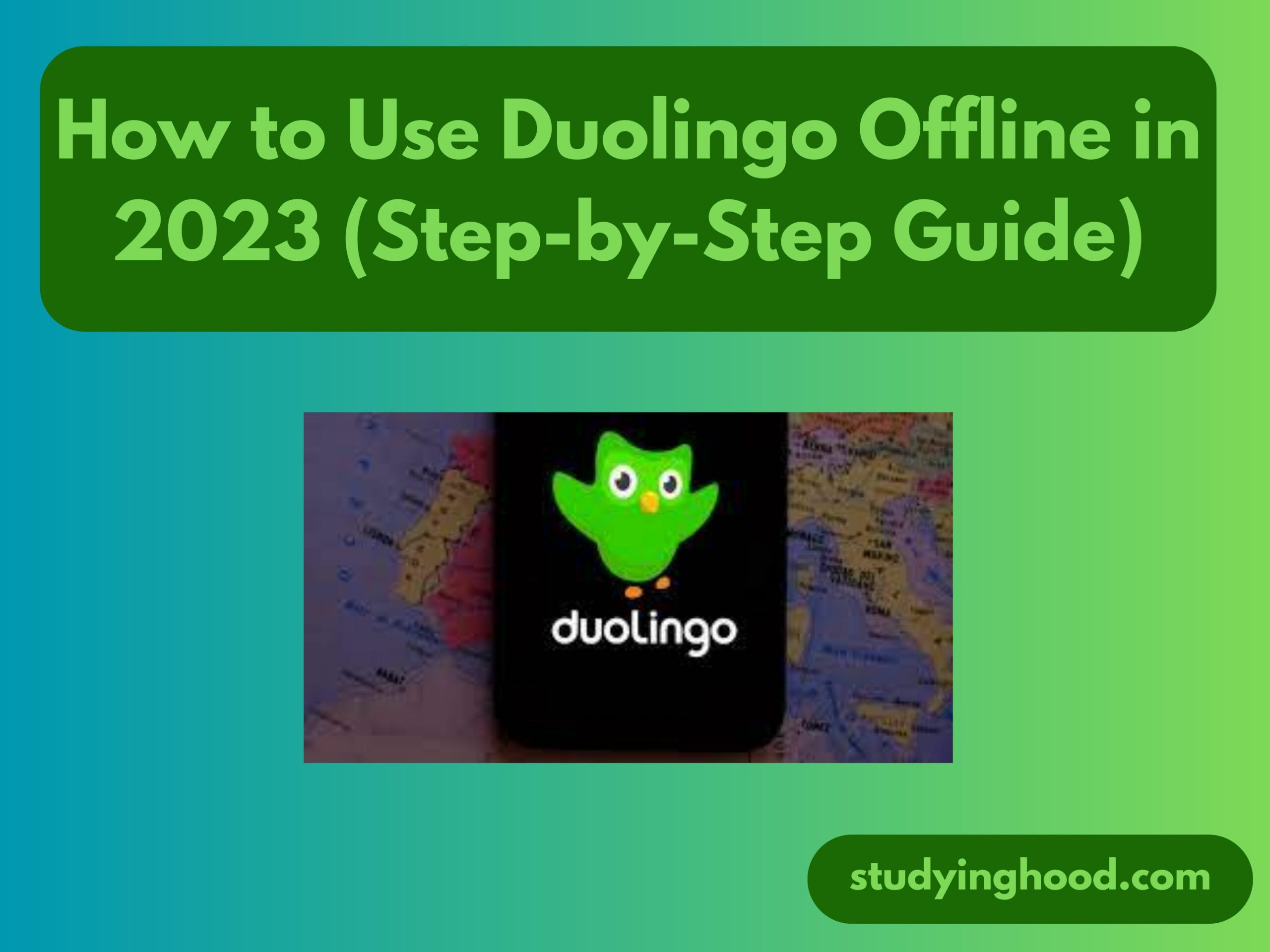 How to Use Duolingo Offline in 2023 (Step-by-Step Guide)