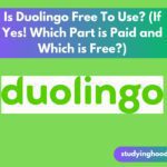 Is Duolingo Free To Use? (If Yes! Which Part is Paid and Which is Free?)