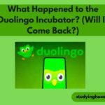 What Happened to the Duolingo Incubator? (Will It Come Back?)