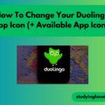 How To Change Your Duolingo App Icon (+ Available App Icons)