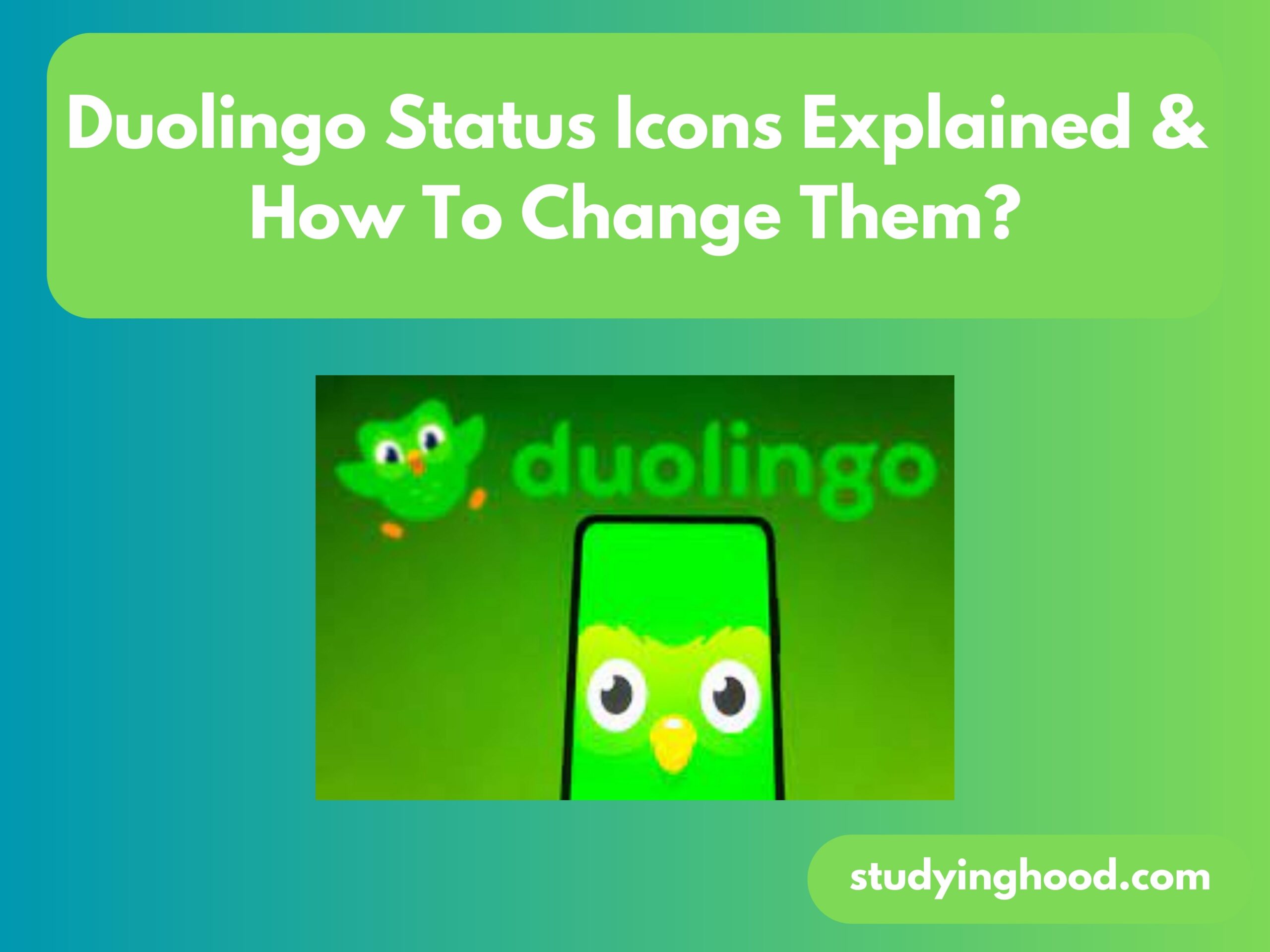 Duolingo Status Icons Explained & How To Change Them?